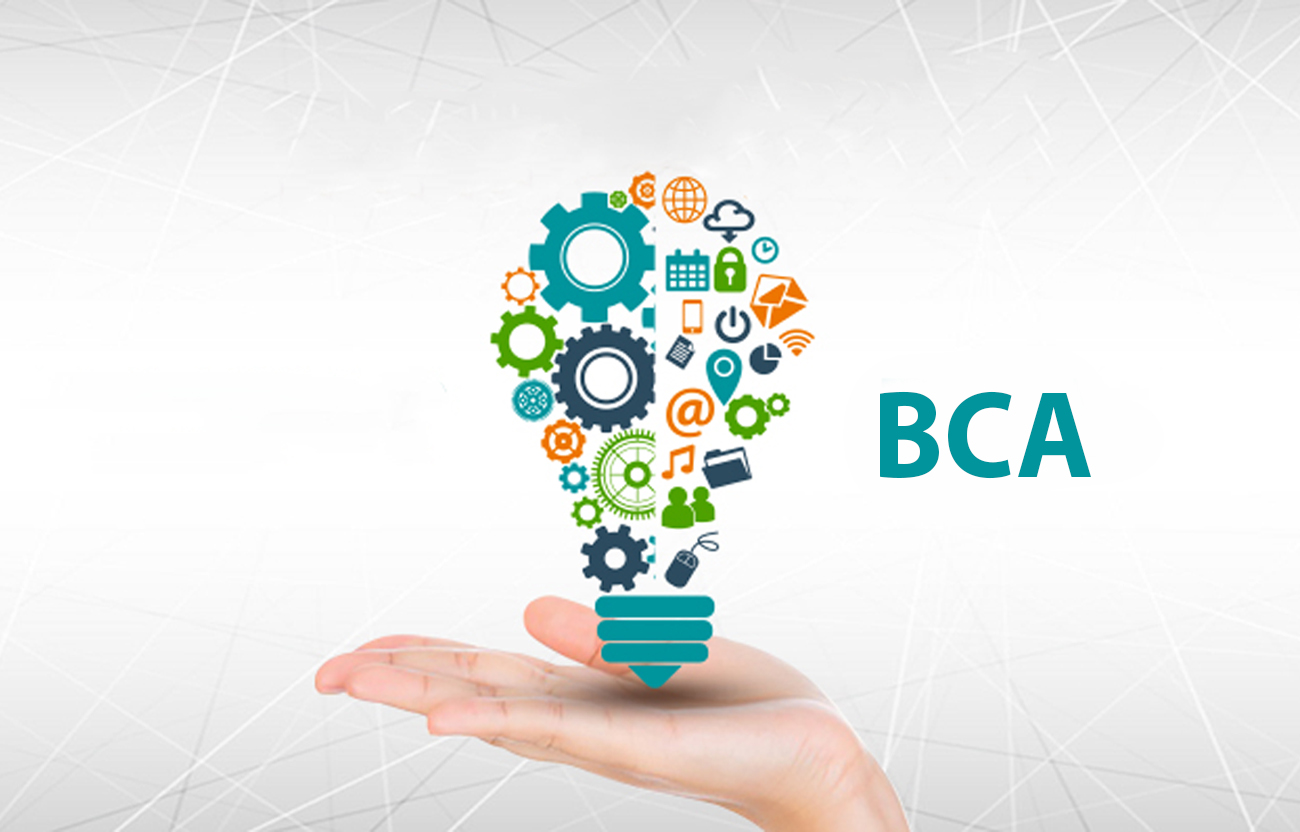 Importance of doing BCA