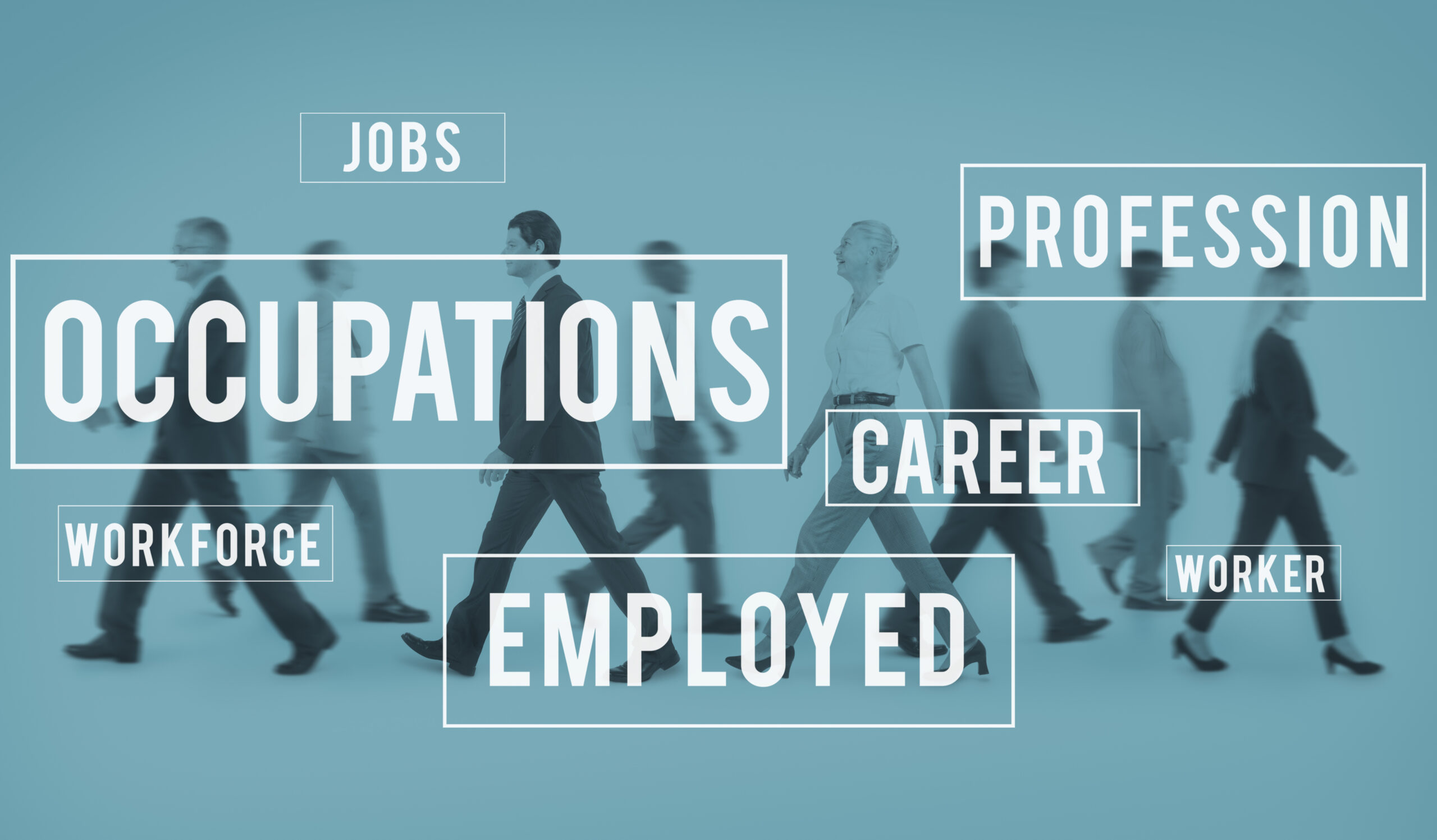 Top 10 BBA Job Opportunities